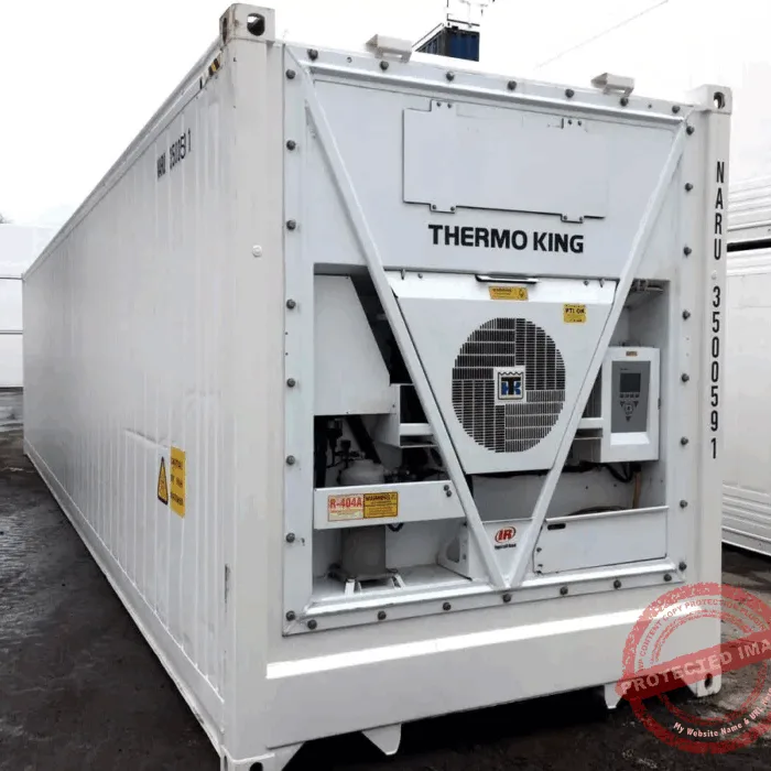 40 Feet Freezer Container Compact Mobile Cold Storage -40°C Reefer Container