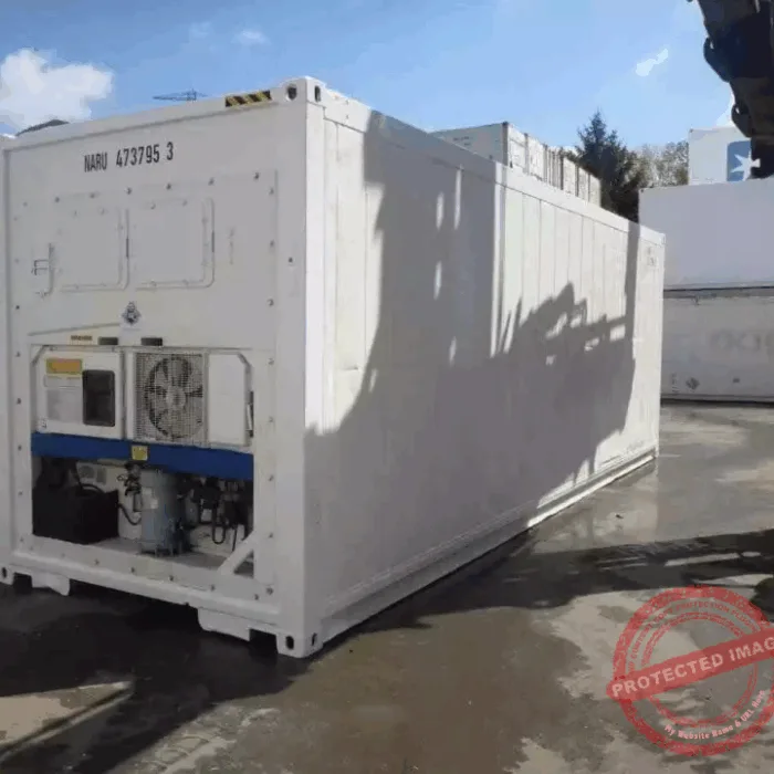 30 Feet Freezer Container Customized Mobile Cold Storage Cell Container / Reefer